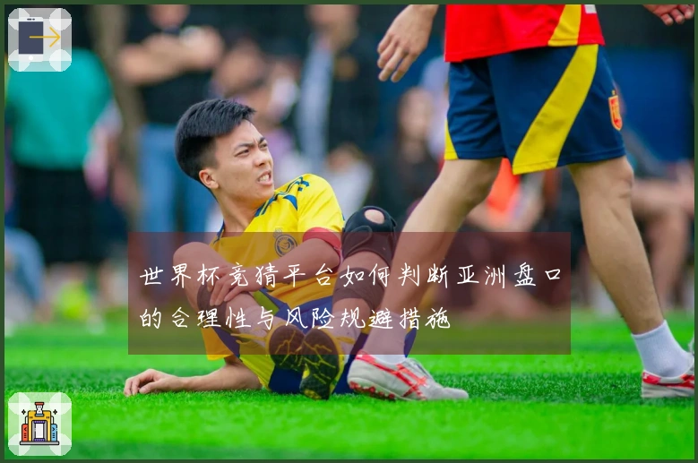 世界杯竞猜平台如何判断亚洲盘口的合理性与风险规避措施