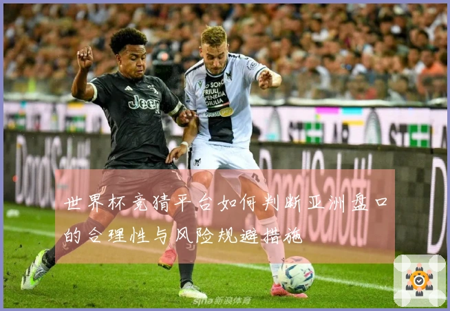 世界杯竞猜平台如何判断亚洲盘口的合理性与风险规避措施