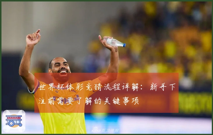 世界杯体彩竞猜流程详解：新手下注前需要了解的关键事项