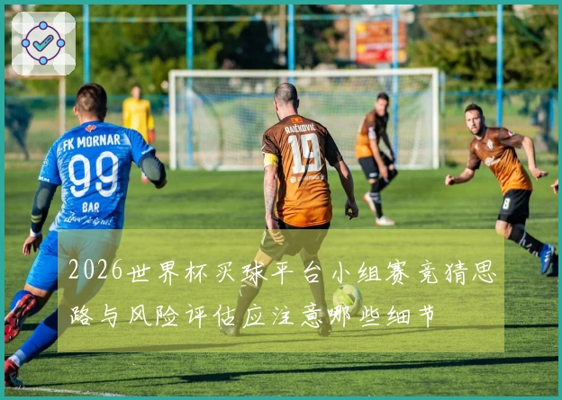 2026世界杯买球平台小组赛竞猜思路与风险评估应注意哪些细节